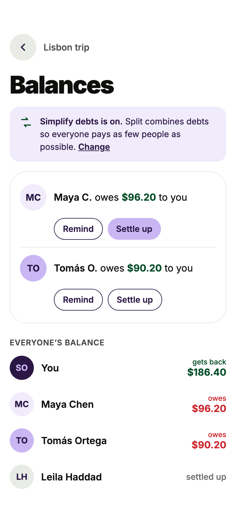 Group balances showing who owes whom